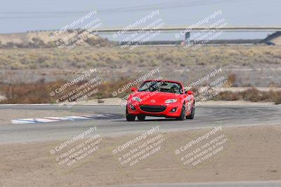 media/Nov-02-2025-Lotus Club of SoCal (Sun) [[dc384ab7f7]]/Novice Group/Cotton Corners/